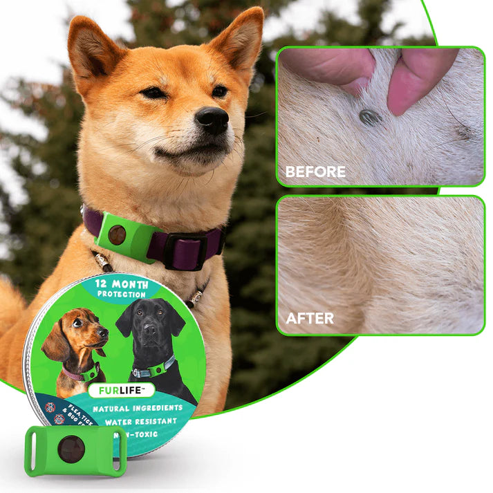 FurLife™ 8 Months Flea and Tick Free